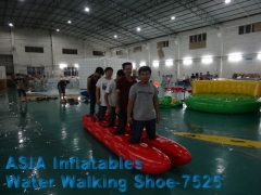 New Brand Flying Fish Ride, Huge Inflatable Water Walking Shoes